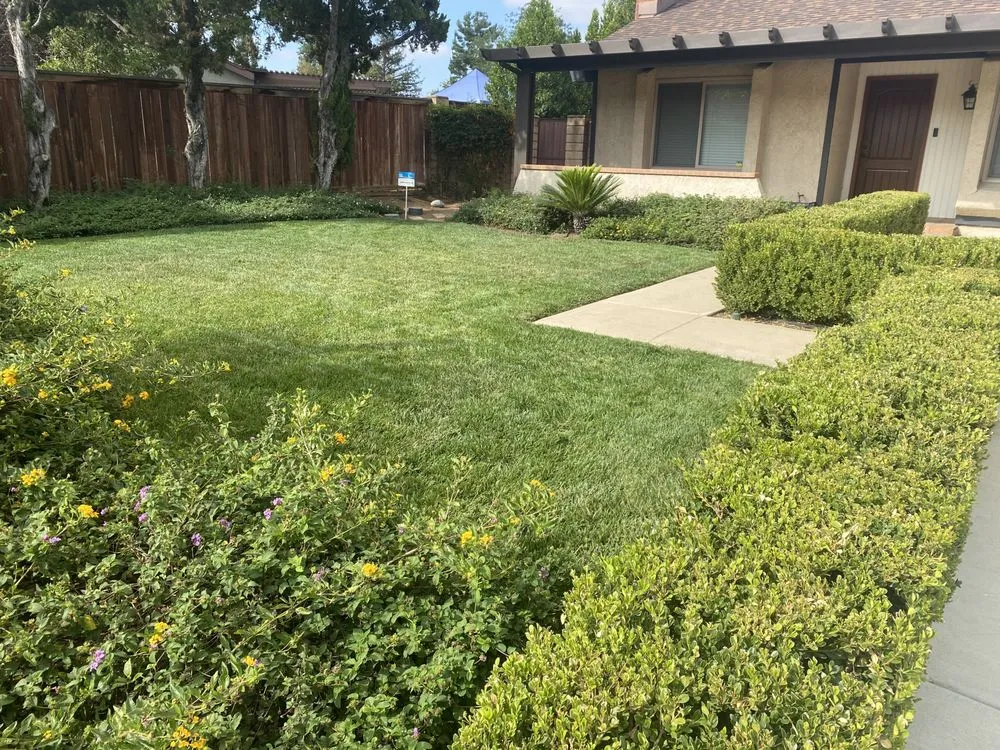Professional landscape design in Colton, CA - Lawn Ranger
