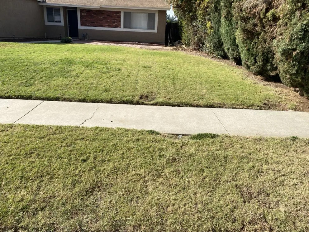 Local residential landscaping in Colton, CA by Lawn Ranger
