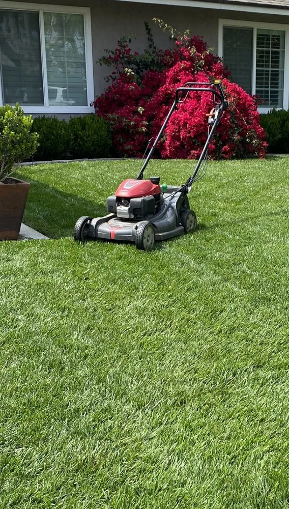 Top-rated landscape design for residential properties across Colton, CA - Lawn Ranger