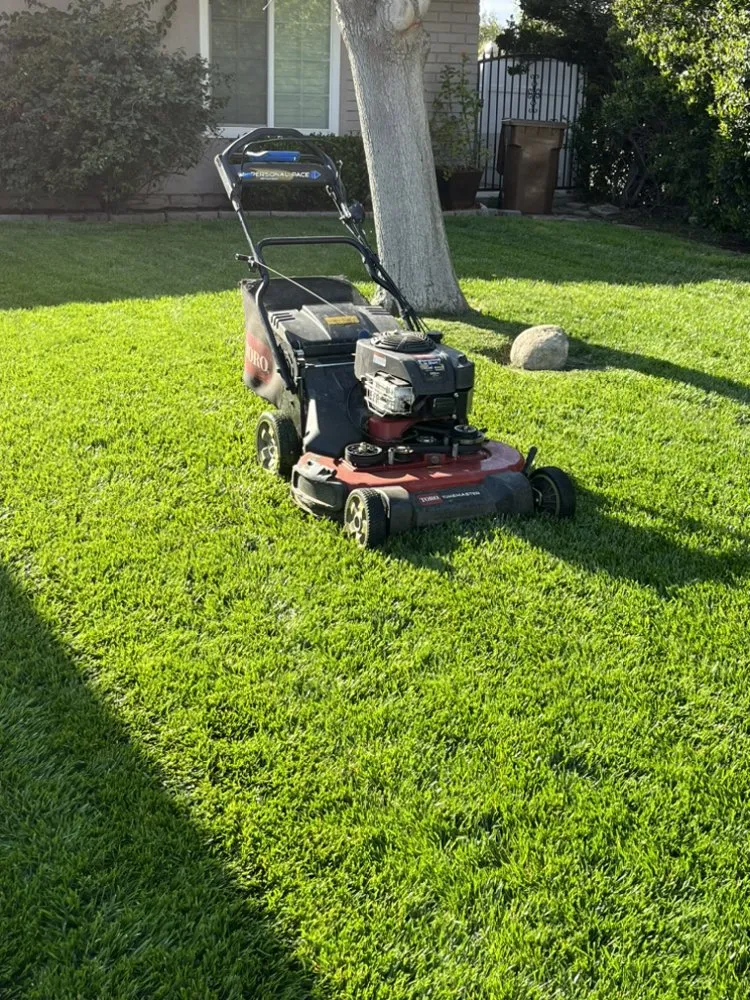 Trusted yard maintenance for beautiful yards across Colton, CA - Lawn Ranger