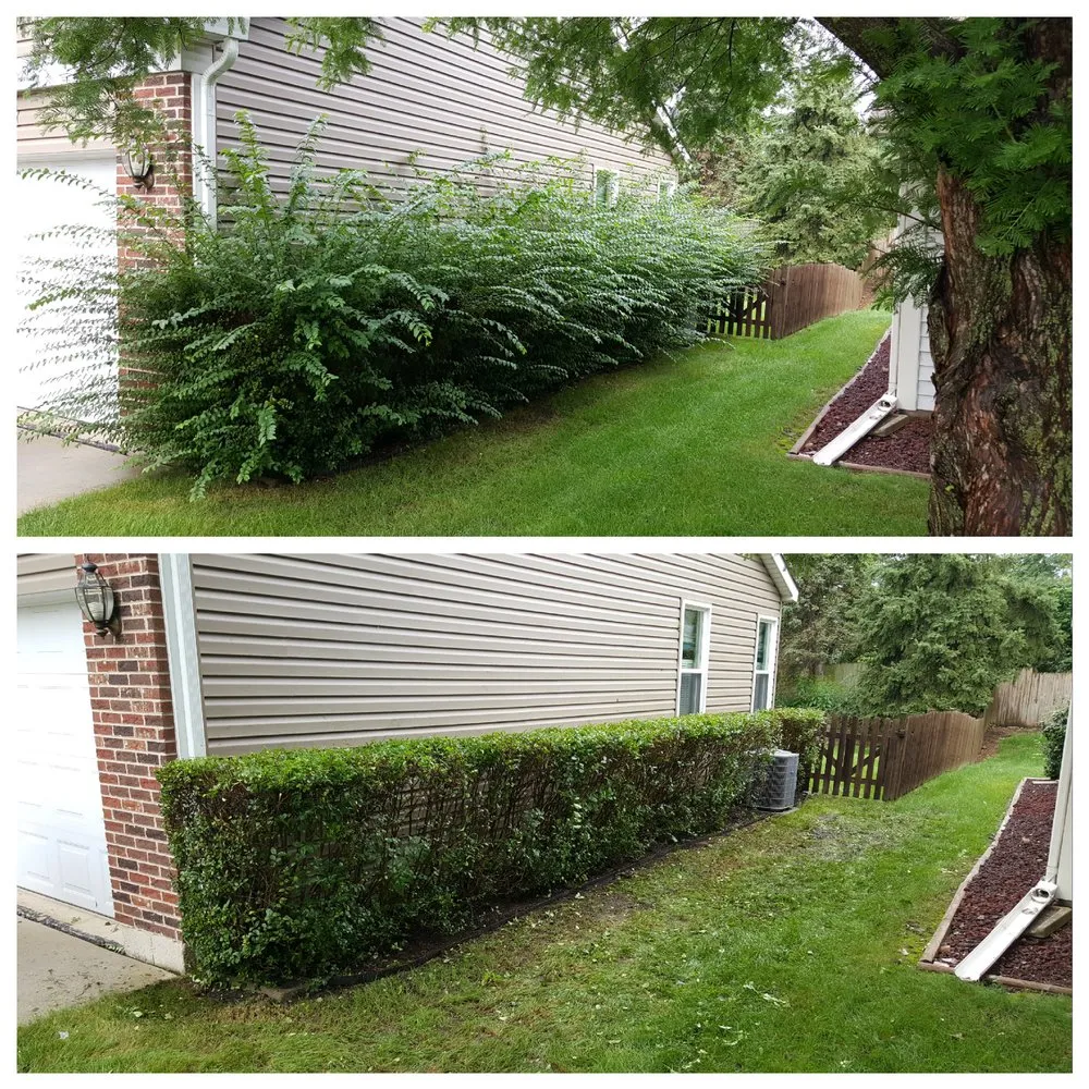 Affordable landscape installation experts serving Springfield, IL - Lawn Ranger