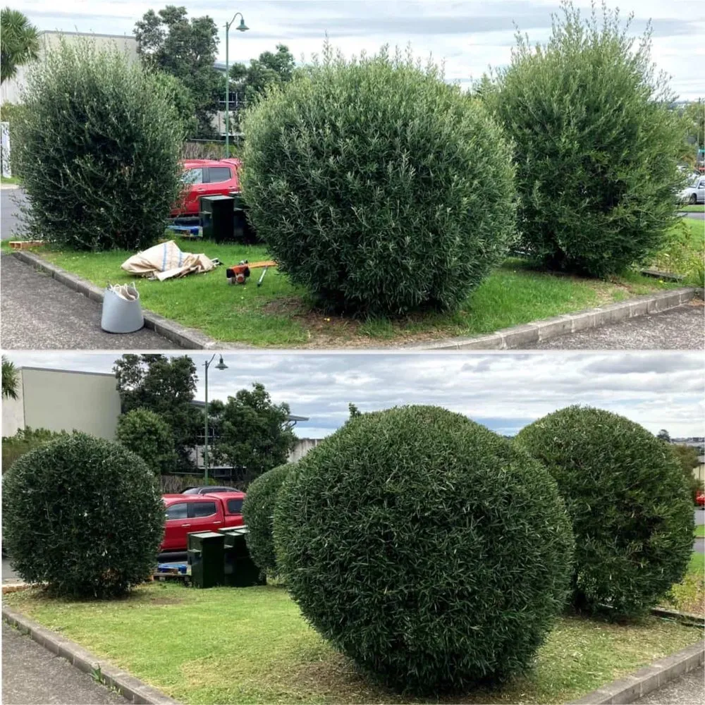 Local lawn mowing service for homes in Springfield, IL by Lawn Ranger