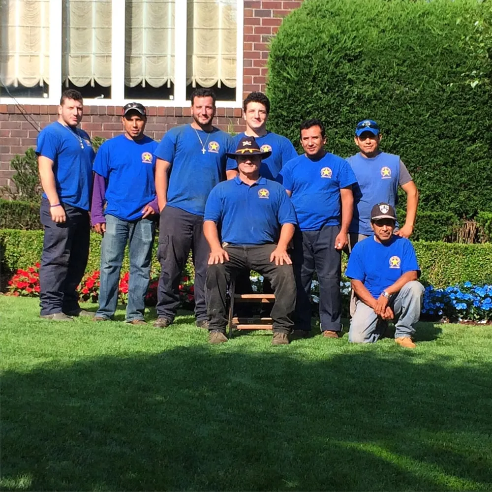 Professional yard maintenance in Staten Island, NY by Lawn Ranger