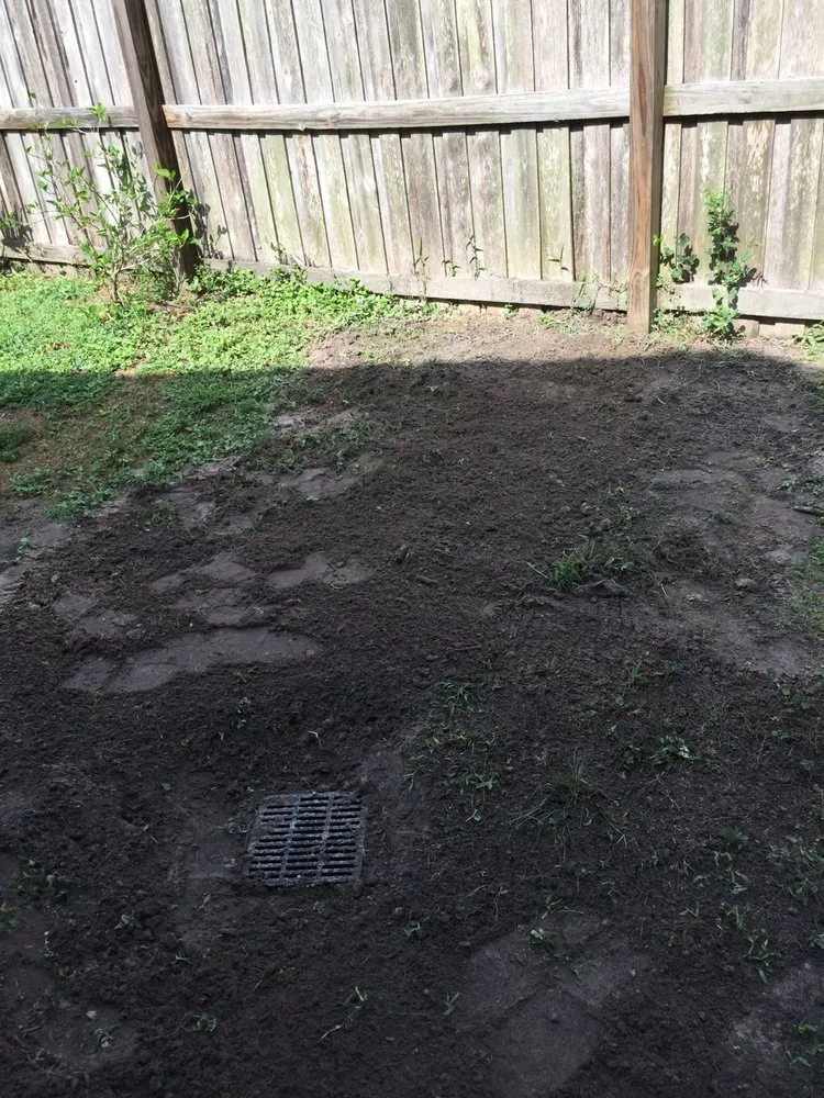 Custom garden landscaping for year-round maintenance across Tampa, FL - Lawn Ranger