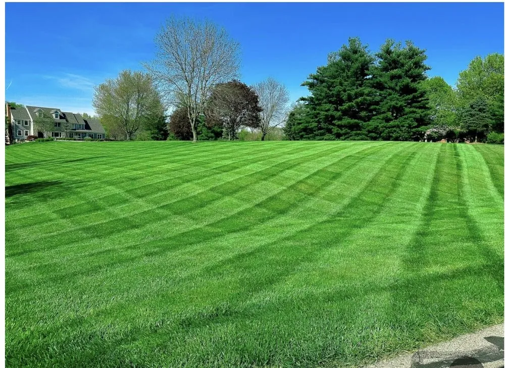 Custom lawn care service in Chickasaw, AL - Lawn Rangers