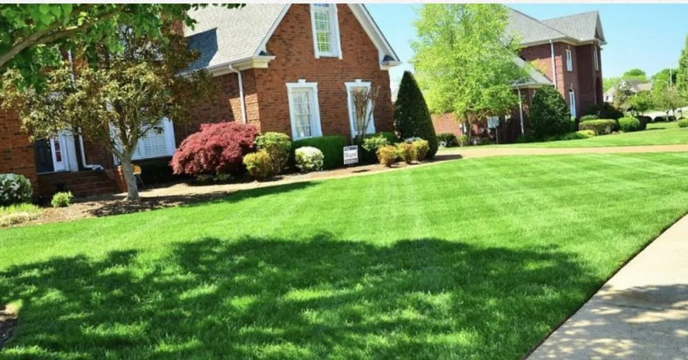 Custom yard maintenance in Chickasaw, AL by Lawn Rangers
