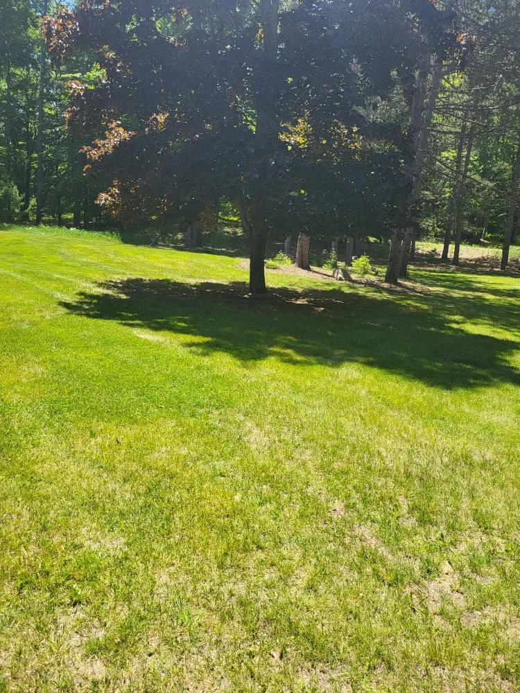 Custom outdoor landscaping for homes across Lincoln, MI - Lawn Rangers