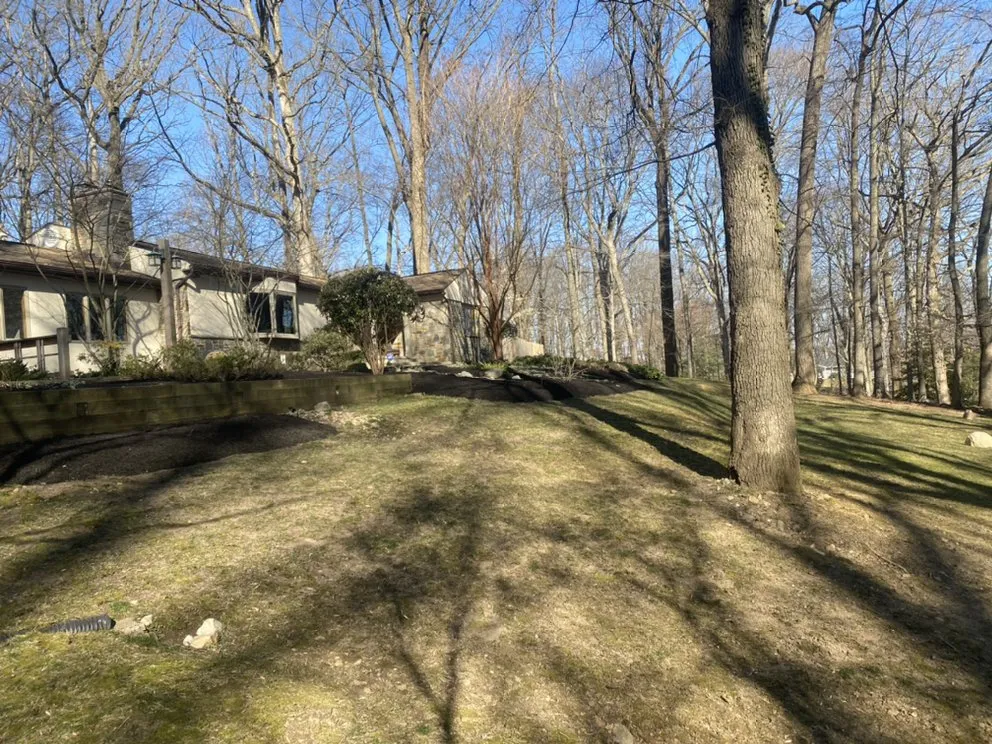 Top-rated yard cleanup service in Lutherville, MD - Lawn Rangers