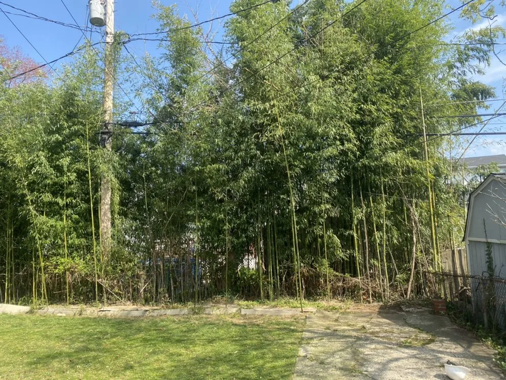 Reliable yard maintenance experts serving Lutherville, MD - Lawn Rangers