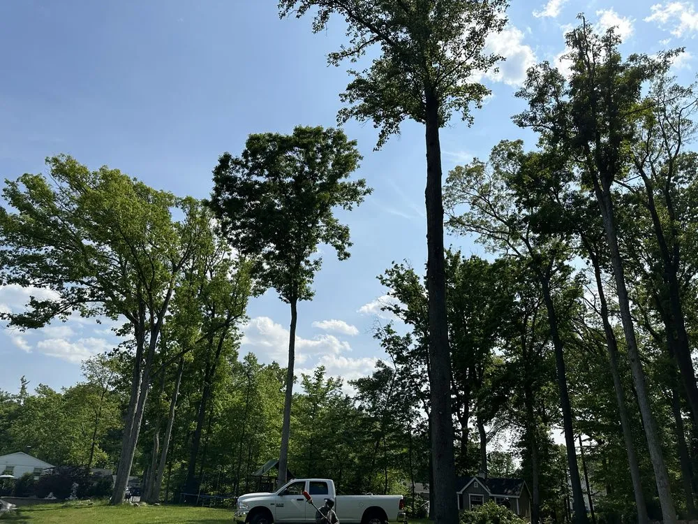 Local residential landscaping for outdoor upgrades across Lutherville, MD - Lawn Rangers