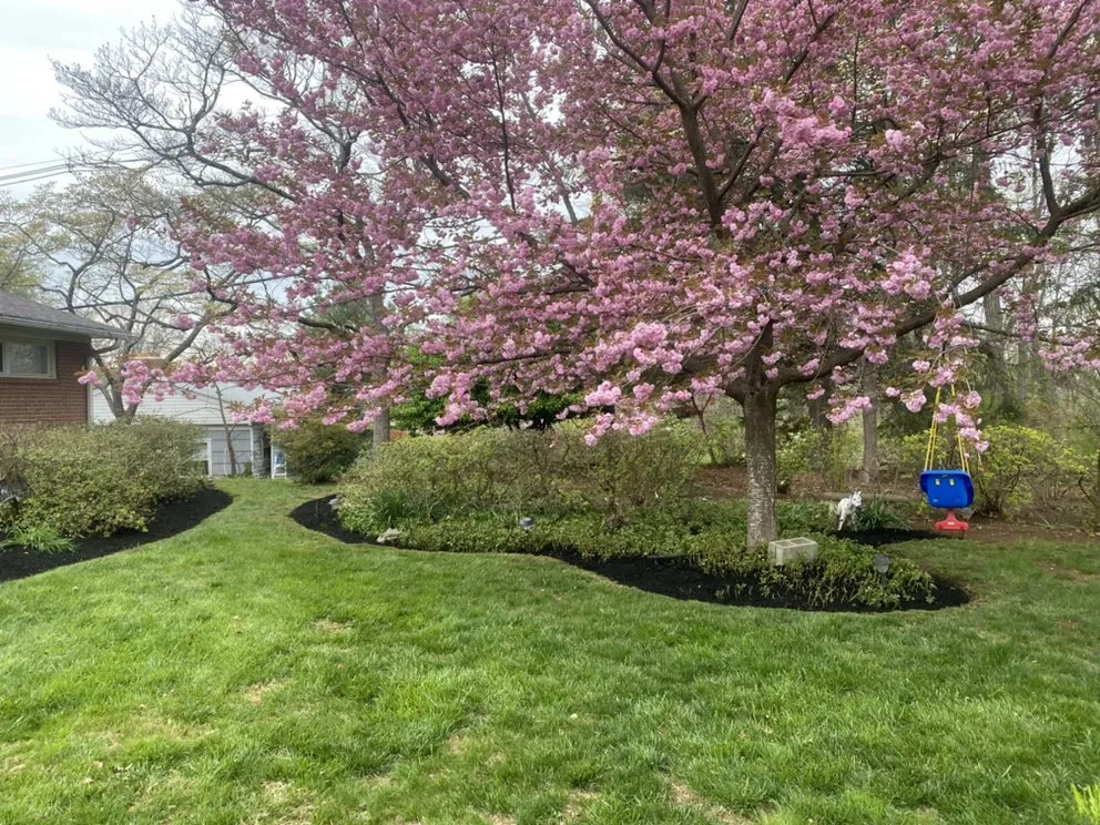 Custom landscape installation near you across Lutherville, MD - Lawn Rangers