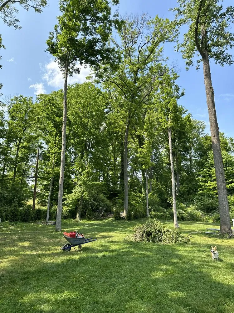 Top-rated lawn mowing service experts serving Lutherville, MD - Lawn Rangers