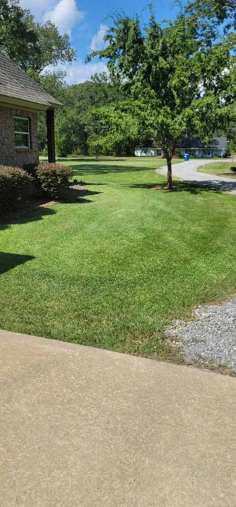 Local yard cleanup service in Monroe, LA by Lawn Rangers