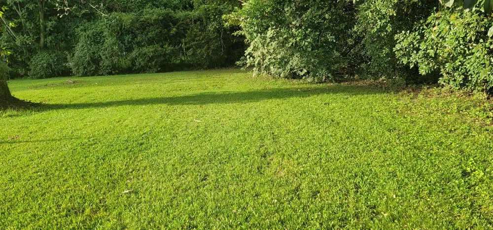 Affordable yard maintenance near you in Monroe, LA by Lawn Rangers