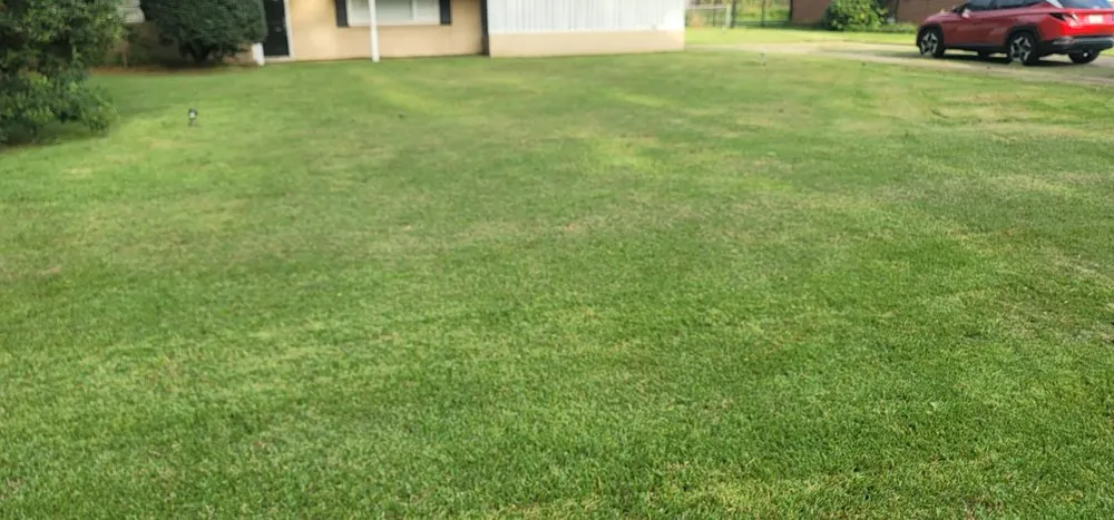 Trusted lawn care service in Monroe, LA by Lawn Rangers