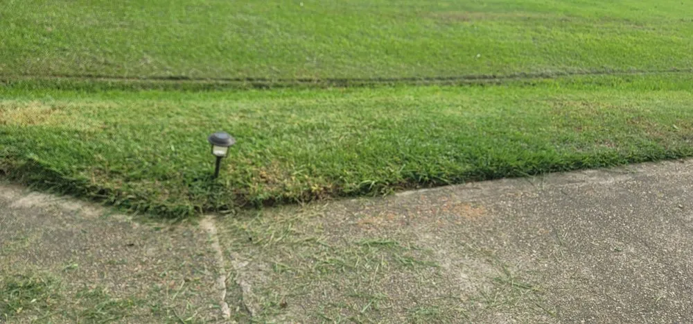 Trusted yard maintenance in Monroe, LA - Lawn Rangers