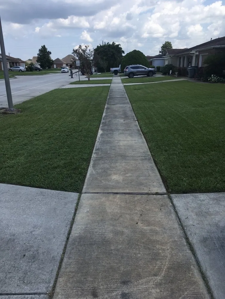 Professional lawn care service for homes across New Orleans, LA - Lawn Rangers