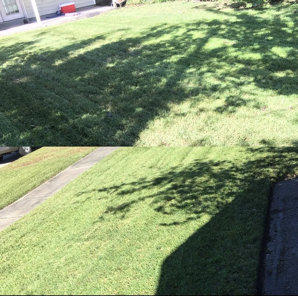 Reliable lawn care service for year-round maintenance across New Orleans, LA - Lawn Rangers