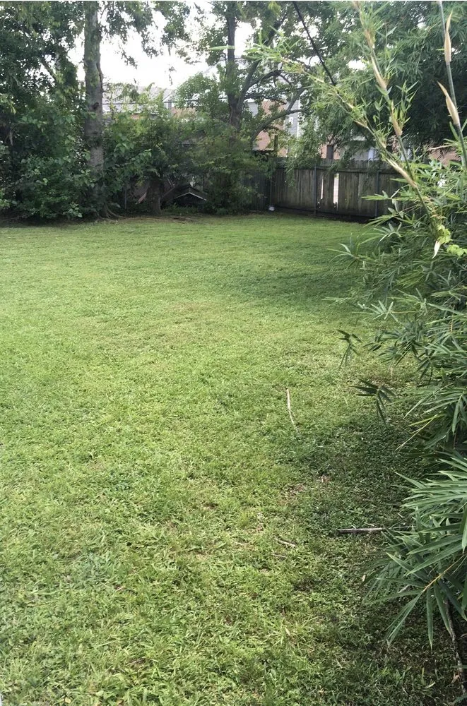 Affordable landscape design for year-round maintenance in New Orleans, LA by Lawn Rangers