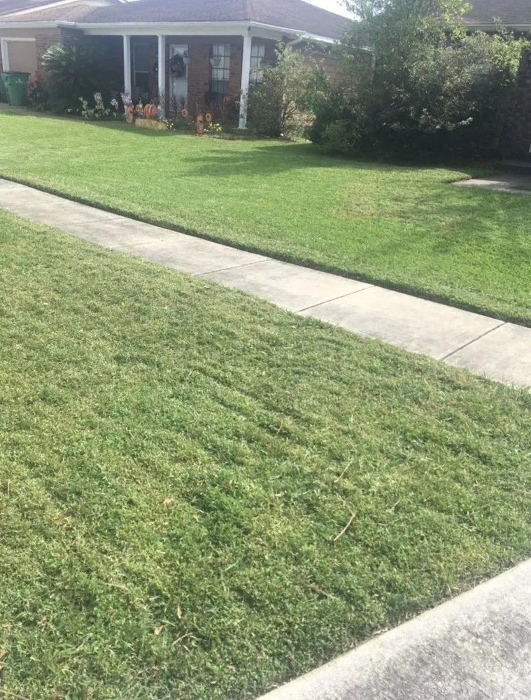 Reliable landscaping services in New Orleans, LA - Lawn Rangers