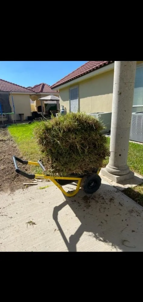 Local outdoor landscaping for residential properties in Rio Grande City, TX by Lawn Rangers