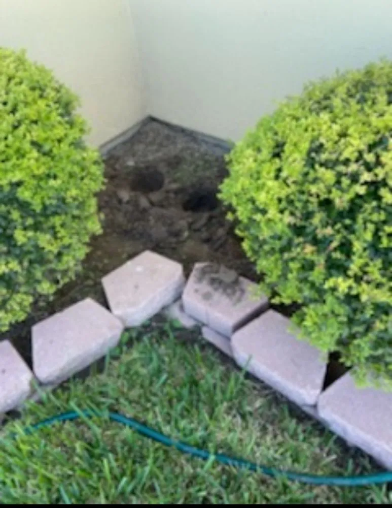 Top-rated residential landscaping in Rio Grande City, TX - Lawn Rangers