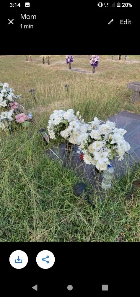 Expert yard cleanup service experts serving Rio Grande City, TX - Lawn Rangers