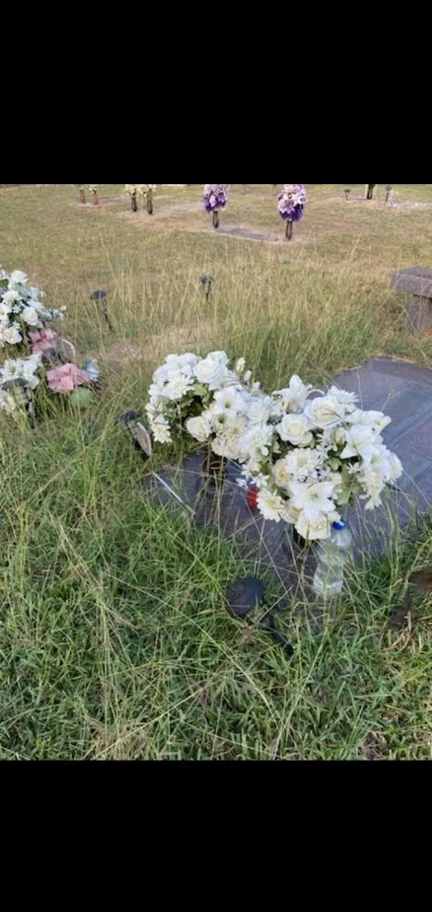 Custom garden landscaping for year-round maintenance across Rio Grande City, TX - Lawn Rangers