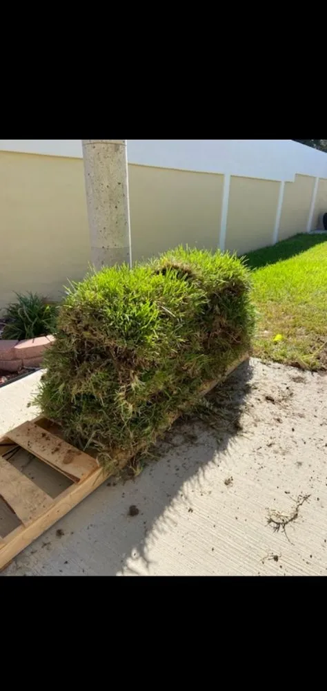 Trusted residential landscaping for outdoor upgrades across Rio Grande City, TX - Lawn Rangers