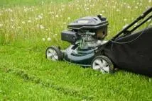 Affordable yard cleanup service for beautiful yards in Waterbury Center, VT by Lawn Rangers