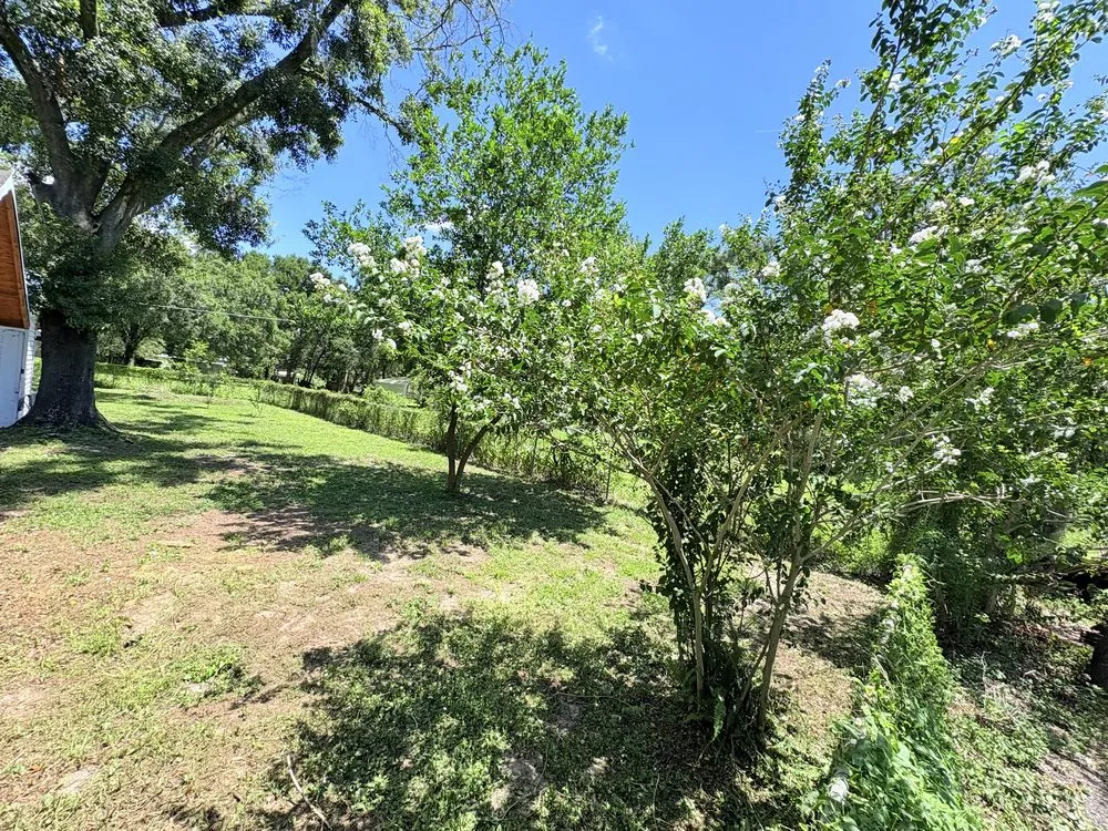 Top-rated landscape installation experts serving Wesley Chapel, FL - Lawn Rangers