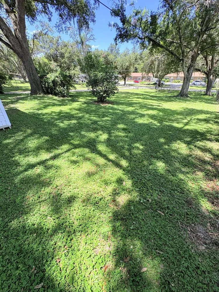 Custom residential landscaping experts serving Wesley Chapel, FL - Lawn Rangers