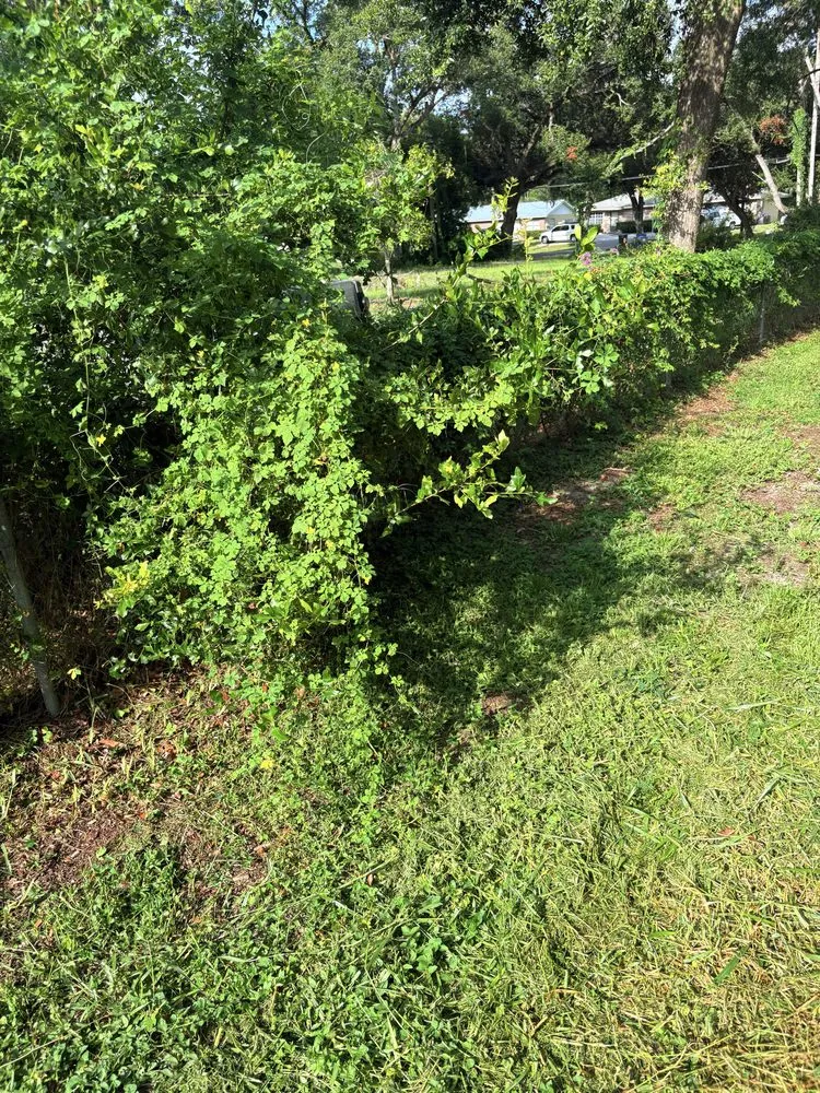 Trusted landscape design for residential properties across Wesley Chapel, FL - Lawn Rangers