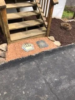 Professional lawn mowing service for residential properties across Wise, VA - Lawn Rangers