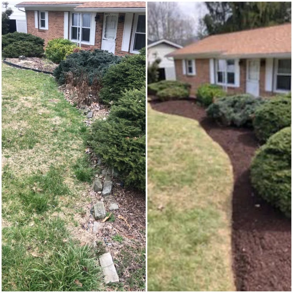 Trusted lawn care service for residential properties across Wise, VA - Lawn Rangers