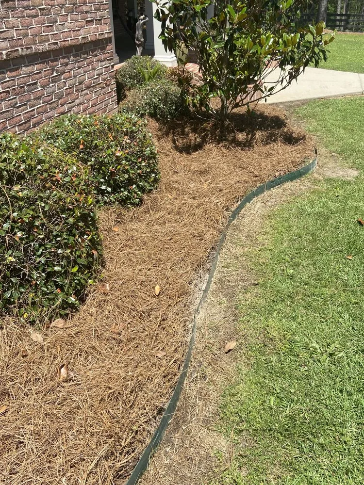 Custom yard cleanup service experts serving Purvis, MS - Lawn Rangerz