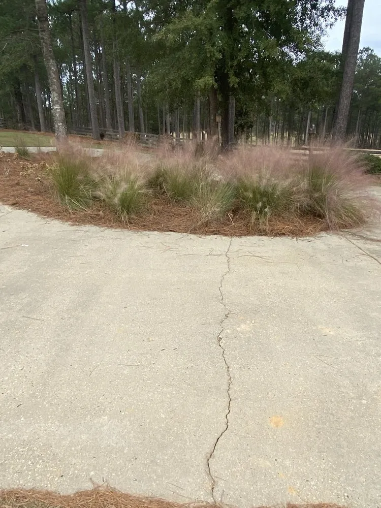 Top-rated lawn care service in Purvis, MS by Lawn Rangerz