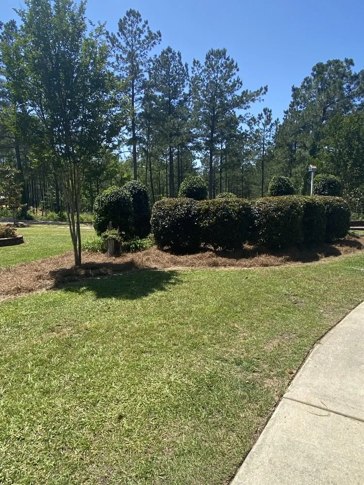 Affordable landscape design experts serving Purvis, MS - Lawn Rangerz