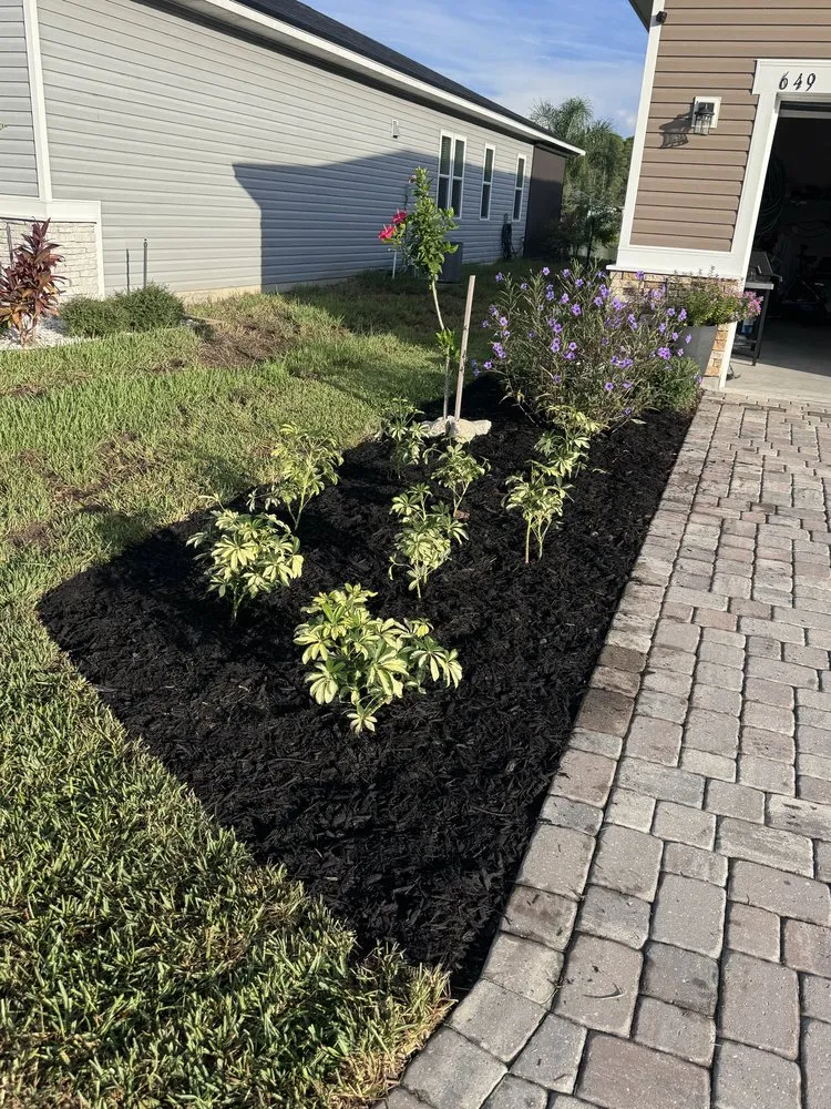 Custom lawn mowing service for homes in Elkton, FL by Lawn Recon