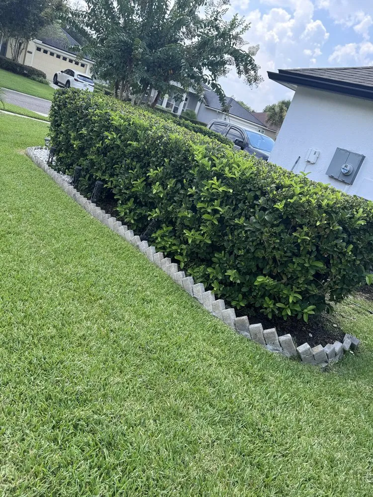 Custom landscaping services in Elkton, FL by Lawn Recon
