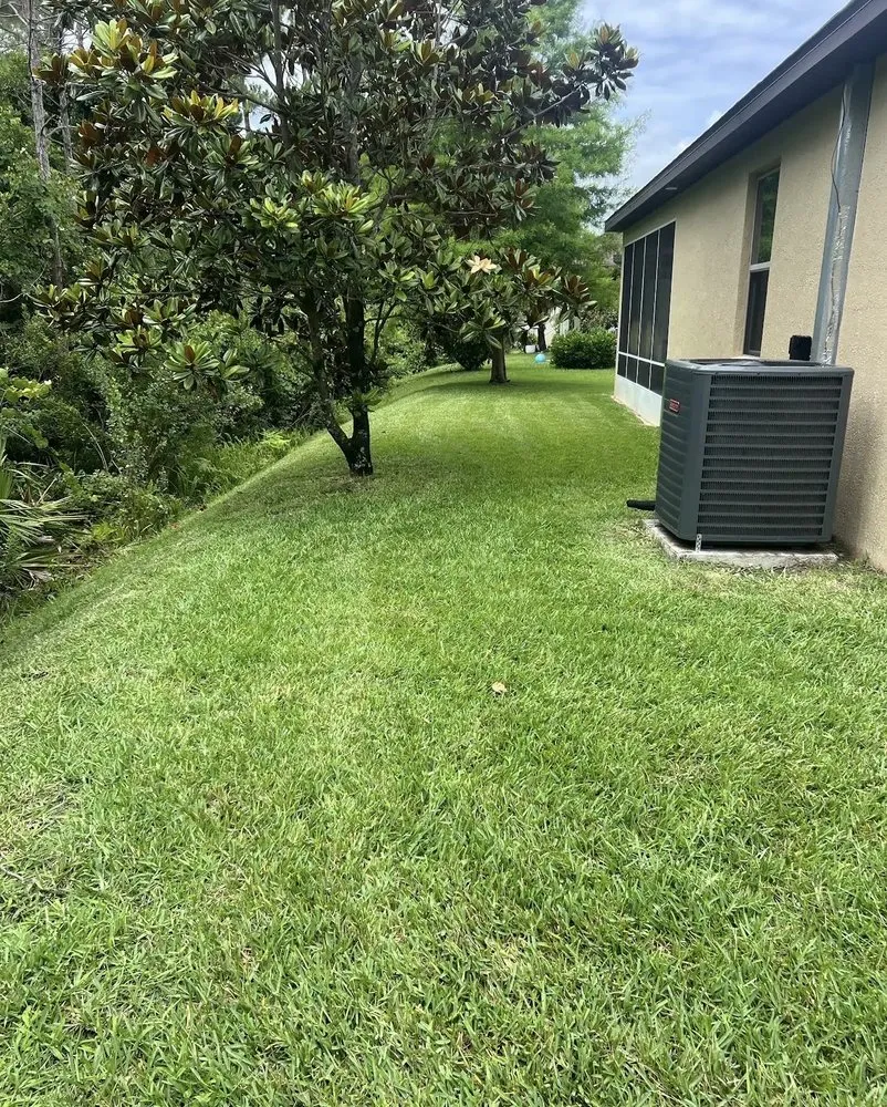 Top-rated outdoor landscaping for outdoor upgrades across Elkton, FL - Lawn Recon