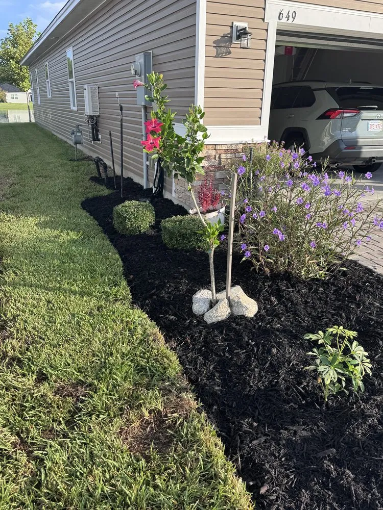 Professional yard maintenance for year-round maintenance in Elkton, FL by Lawn Recon