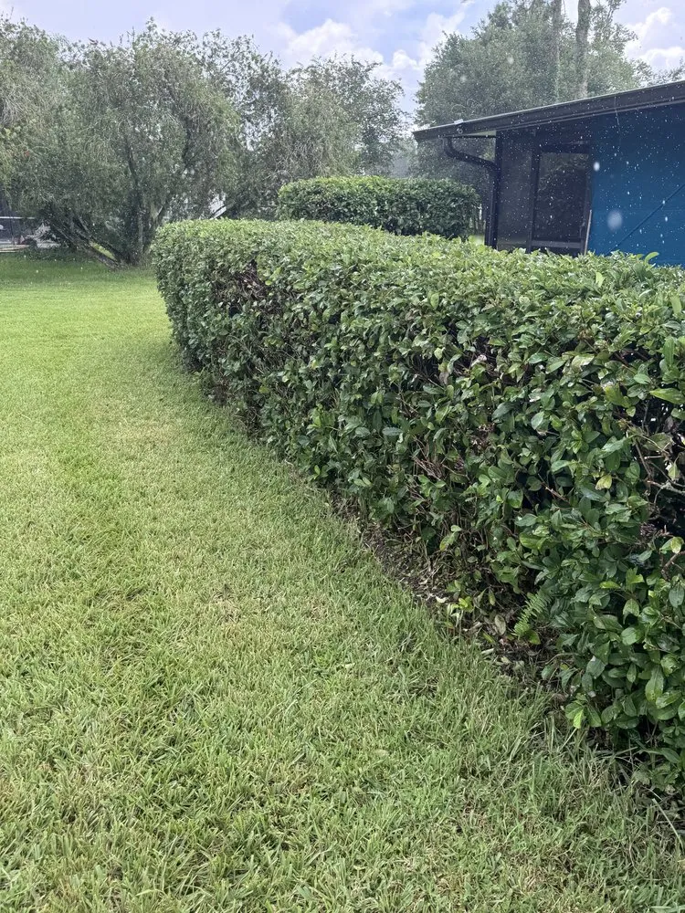 Professional outdoor landscaping experts serving Elkton, FL - Lawn Recon