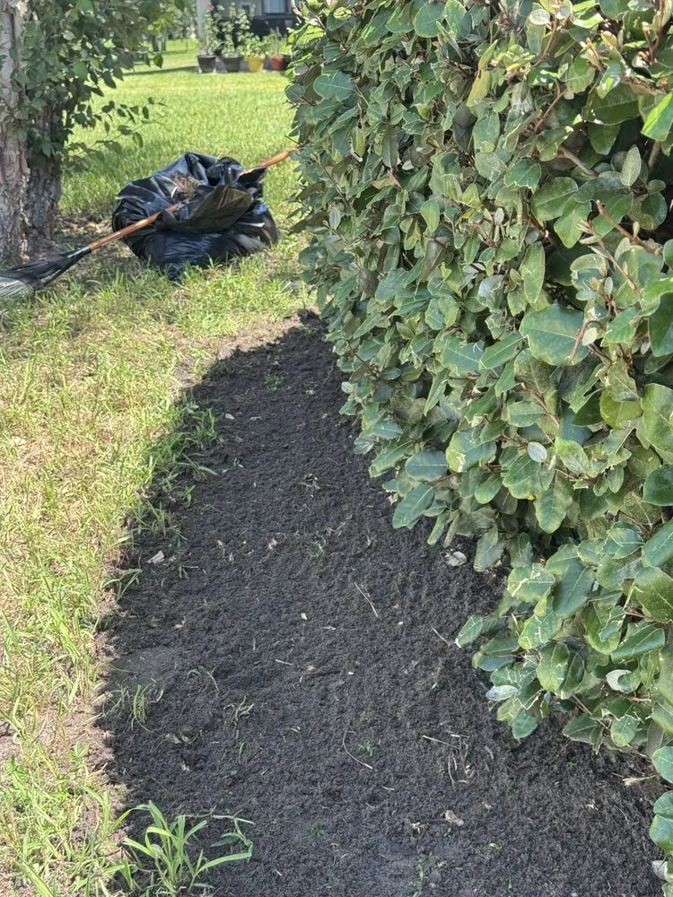 Affordable landscape design for beautiful yards in Elkton, FL by Lawn Recon