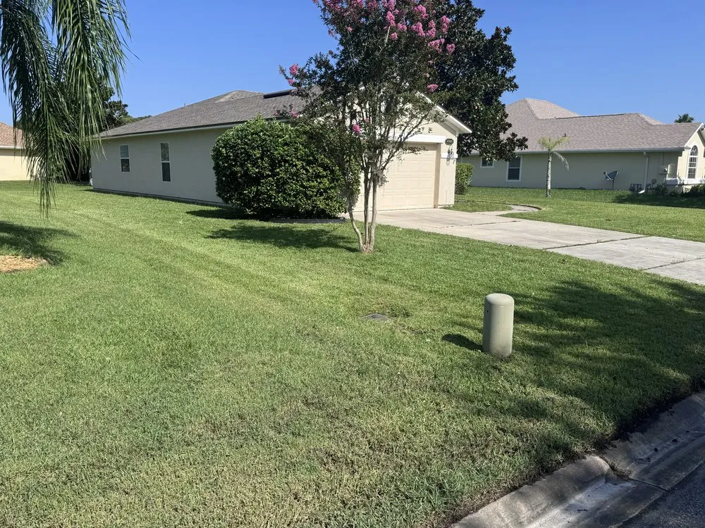 Trusted yard cleanup service in Elkton, FL - Lawn Recon