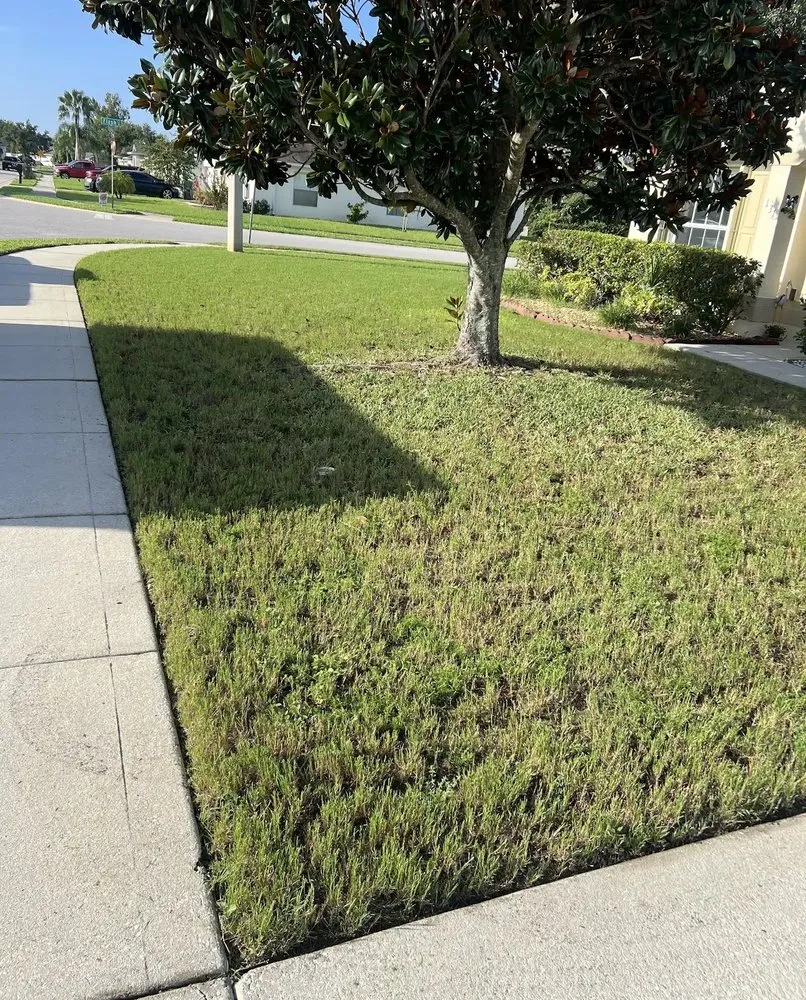 Trusted landscape design in Elkton, FL - Lawn Recon