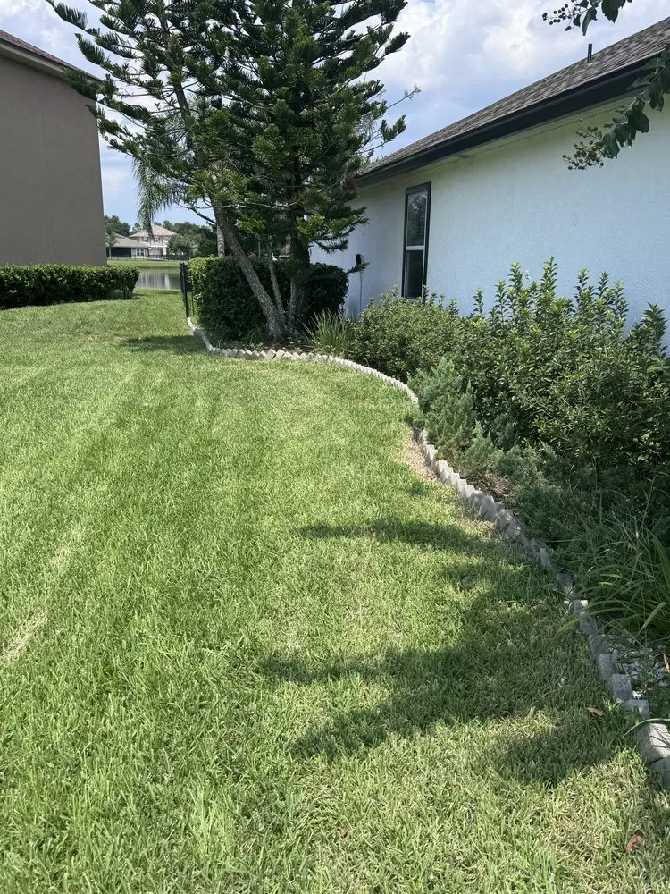 Custom lawn care service in Elkton, FL - Lawn Recon