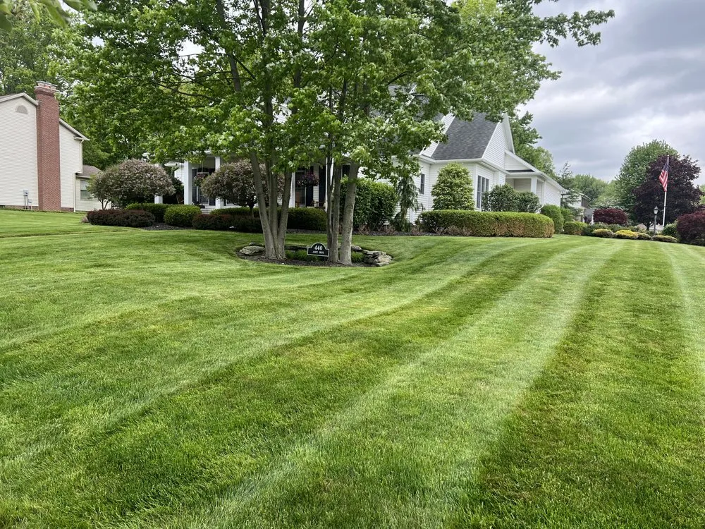 Custom yard cleanup service in Youngstown, OH - Lawn Recon