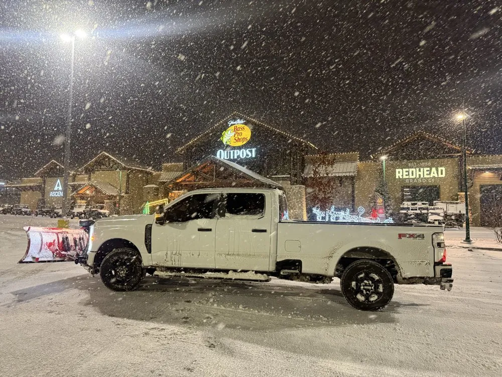 Top-rated yard cleanup service in Youngstown, OH - Lawn Recon