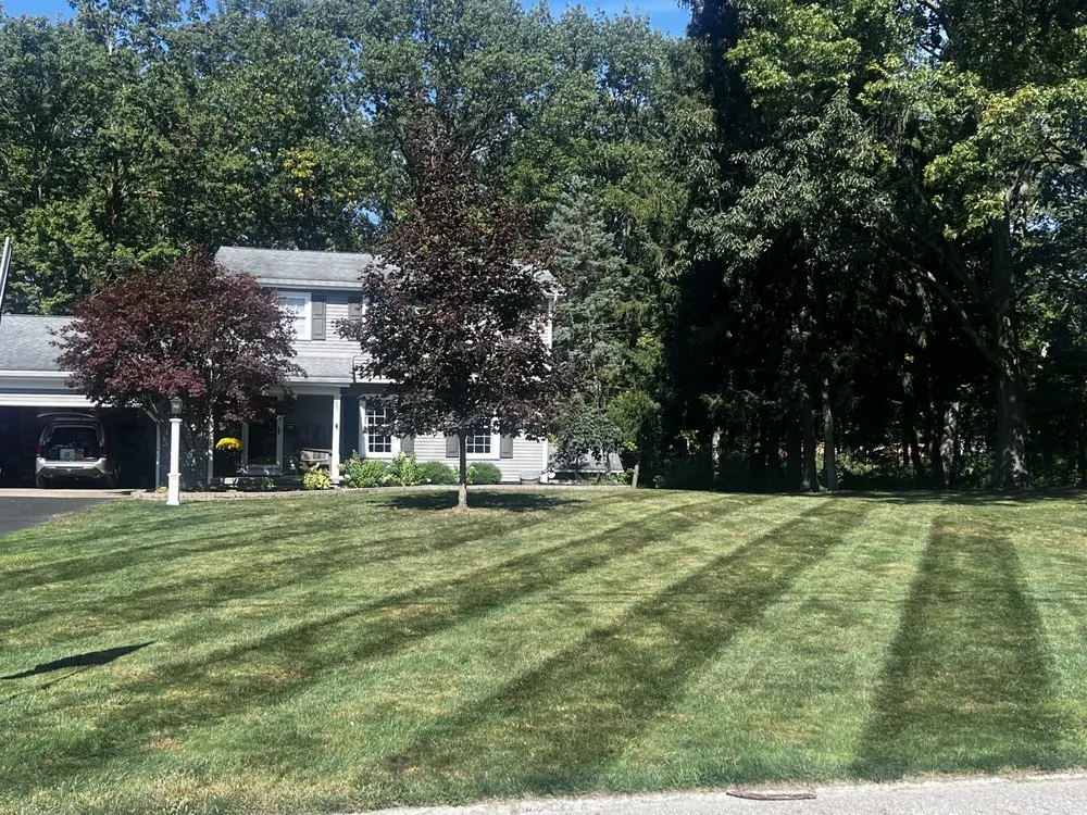 Reliable landscape design for homes in Youngstown, OH by Lawn Recon